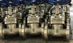 NAB C95800 Gate Valves