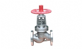 Super Austenitic Globe Valves