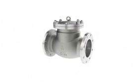 Titanium Check Valves