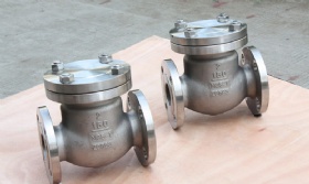Monel Check Valves