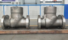Hastelloy Check Valves