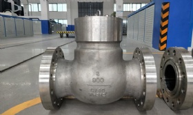 Inconel Check Valves