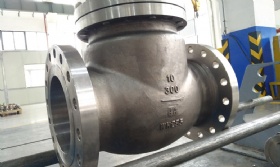 Duplex Check Valves