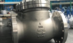 Super Austenitic Check Valves